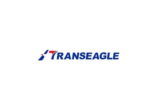 GOMA TRANSEAGLE REF TE10 ST 5.7-8 Load C 6 Ply Trailer